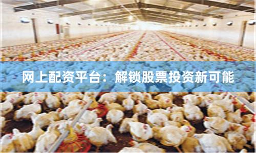 网上配资平台:解锁股票投资新可能