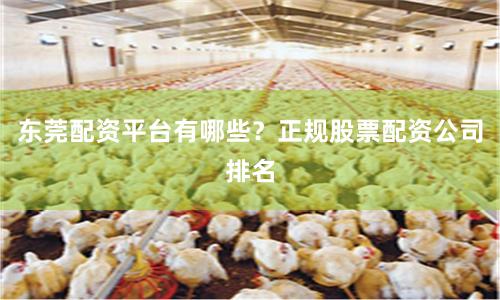 东莞配资平台有哪些？正规股票配资公司排名