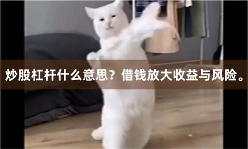 炒股杠杆什么意思？借钱放大收益与风险。