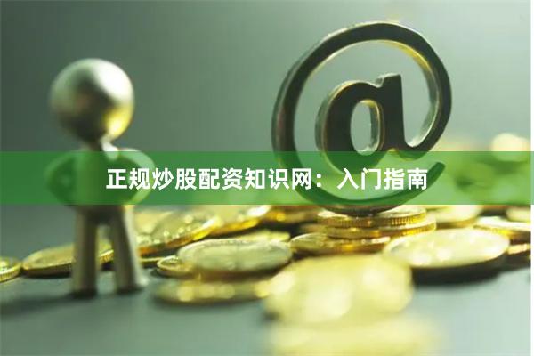 正规炒股配资知识网：入门指南
